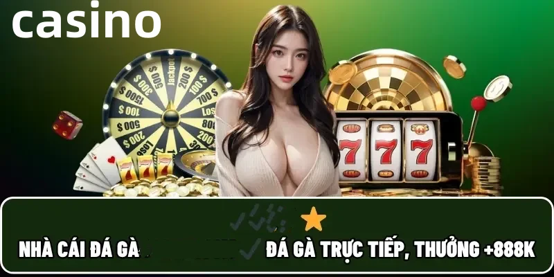 88ok