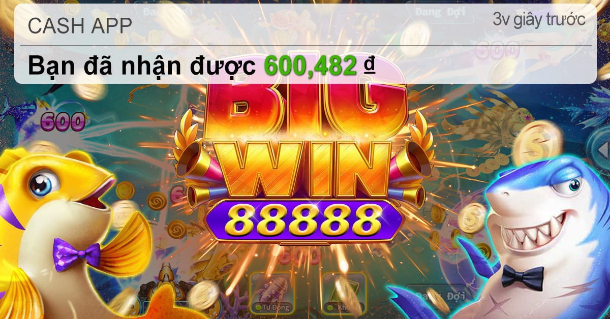 88ok